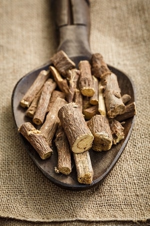 Pieces of licorice root in a spoon